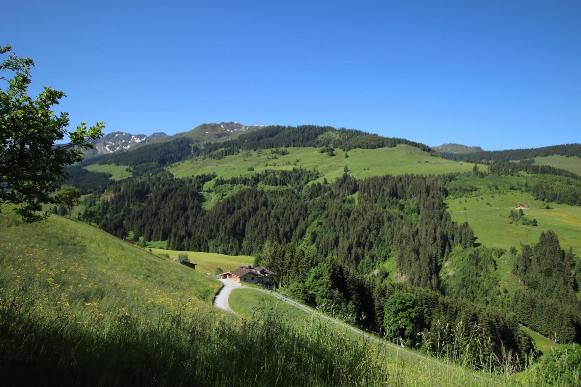 Ferienwohnung Bergpanorama Wild600 Schwarzenau  エクステリア 写真